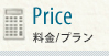 Price /v