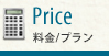Price /v